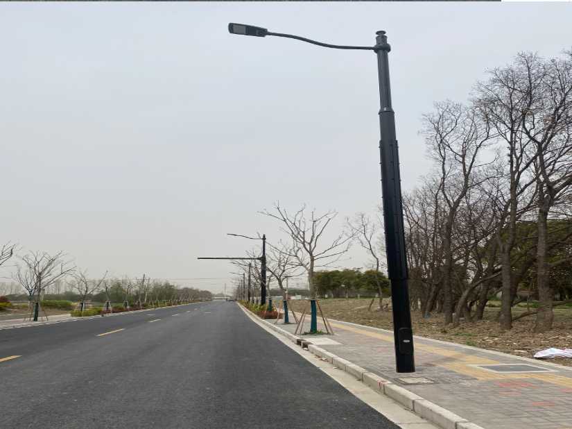 凤阳县上海综合杆 太阳能路灯工程
